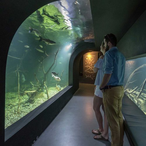 Foto - Aquatika - Slatkovodni akvarij Karlovac